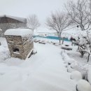 파티룸호수펜션 이미지