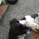 영랑작은도서관 이미지