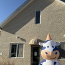 호돌이목장 이미지