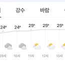 오늘;제주