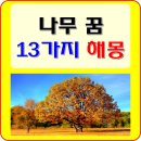 나무랑 풀이랑 이미지