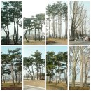 세계무술공원 이미지