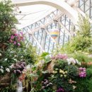 윈터페스티벌 - 크리스마스 콘서트 이미지