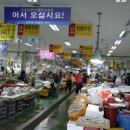 군산수족관 이미지