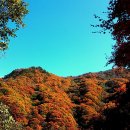 가을에 길 떠납니다 (선운사에서 지리산으로) 이미지