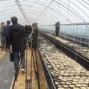 조현덕농장 이미지