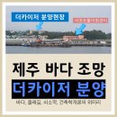 위미초등학교 ↔ 동백군락지 이미지