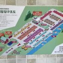 관리도캠핑장