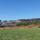 예래작은숲 이미지