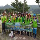 산방천 충남신문