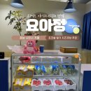 인생 요거트 아이스크림 맛집 카페 요아정 사천점 초코쉘 딸기 치즈큐브 추천 솔직후기