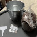 상태농장 | [농장텃밭_노지 후기] Ver_0.레디쉬 모종 만들기, 옮겨심기