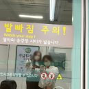 서부산호텔하운드 | [부산여행] 서울에서 부산까지 비행기 후기(티웨이), 숙소추천 : 하운드호텔 객실 및 수영장 후기