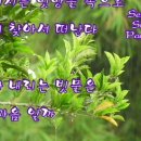 동네꽃집 - 부천시 원미구 원미로 91 | 동네꽃집