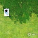 나무그늘 밑의 휴식 이미지