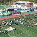 봉화공설운동장 이미지