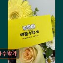 예쁠수밖개 | 대구 반려동물비용 애견미용 강아지 고양이 예쁠수밖개 편안한 맞춤 케어가 강점