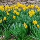 구항농장 이미지