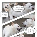 수니 티스토리