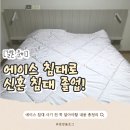 에이스환경 | 에이스침대 견적 잘 받는 법! 벨라3 킹+BMA1164 후기