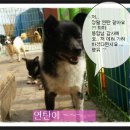 기다리다 Daum카페