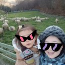 신호목장 이미지