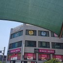 탄탄하개 유치원 이미지