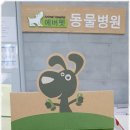 에버펫동물병원 이미지