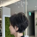 가든미용실 네이버블로그