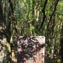 서홍동 추억의 숲길 및 치유의 숲 탐방(20201017) 이미지