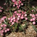 애지중지 이미지