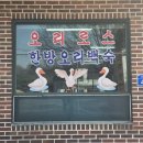 황토오리 이미지