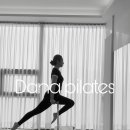 다나필라테스 이미지