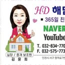 1등 부동산 공인중개사 사무소 이미지