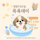 문정힐스동물병원 | [문정힐스동물병원] &#34; 토요일 목욕데이 &#34; 뽀송하게 목욕해요 : )