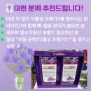 현대메디칼약국 이미지