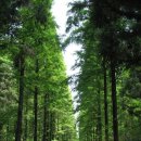 대교어린이공원 이미지