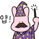 손이예쁘다 이미지
