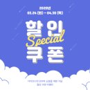 다이브나우
