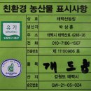 태백산 농장 개두릅 친환경 유기농 엄나무순 데치기 보관방법