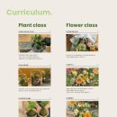 청주시 청원정신건강복지센터 | 청주 기업 출강 | 원예교육단체 수필집 | 강의 목적과 예산에 맞는 맞춤 추천 수업