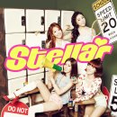 케이스텔라 이미지