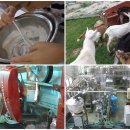 신우축산 이미지