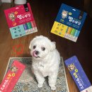 강아지 츄르 추천! 좋은 성분 가득 멍수무강하자!
