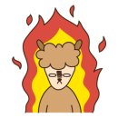황제족발 이미지