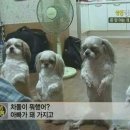 참 이미지