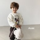 플로크 네이버블로그