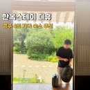 디휴