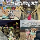 씨유 익산왕궁스타점 | 익산 여행코스 놀거리 애견동반 카페 식당 여행지 추천 바람개비마을