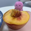 육회한날 | 신림 육회한날 연어 어때 후기_배홍동 육회칼빔면 만들어 먹다!